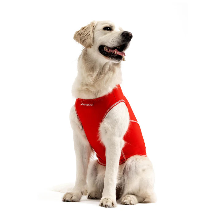 EzyDog Rashie Vest for Dogs