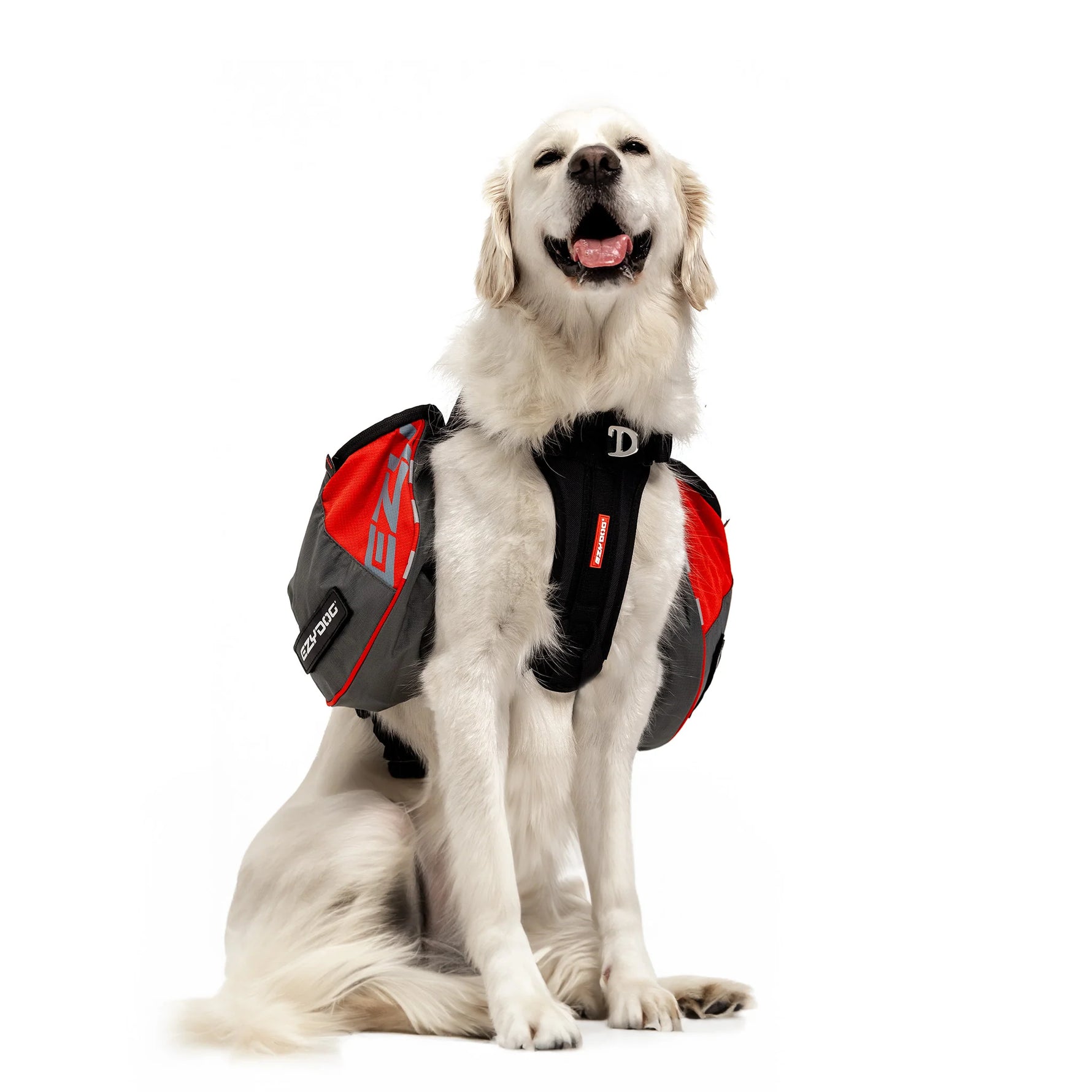 EzyDog Summit Dog Backpack