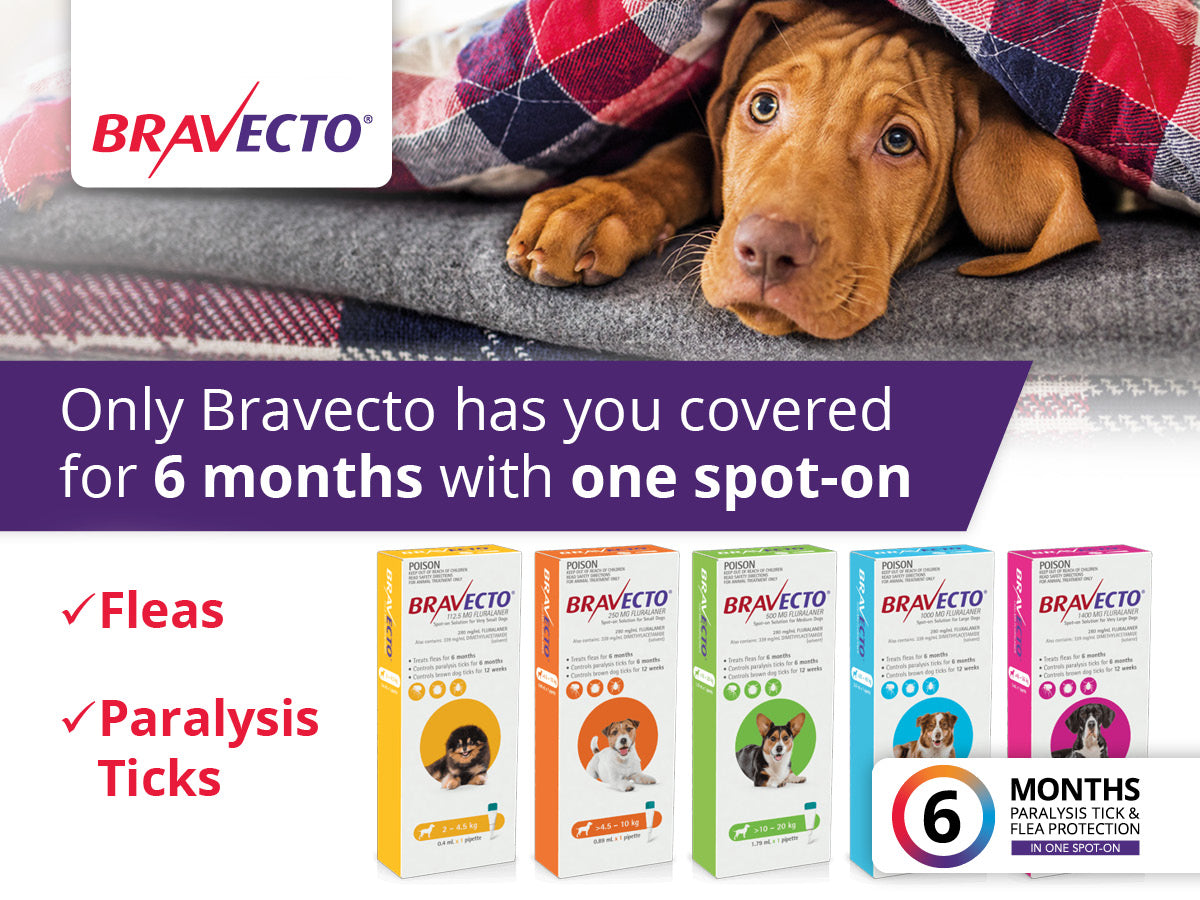 Bravecto Spot-On for Dogs