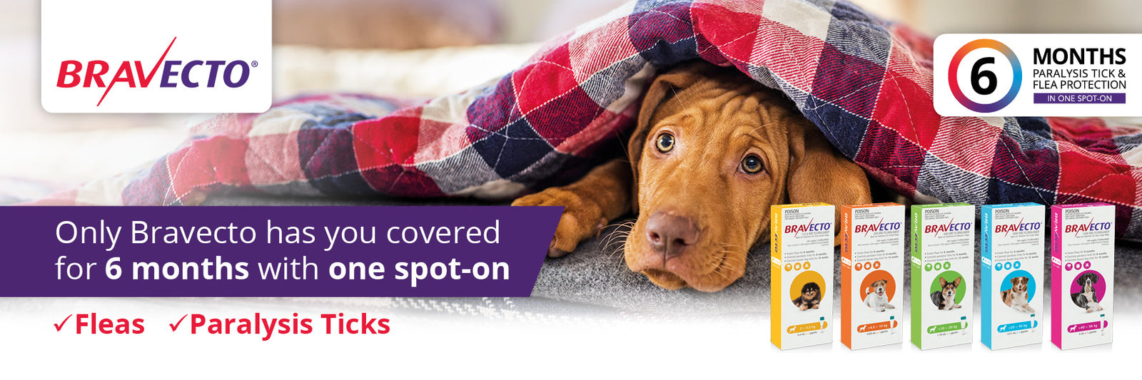 Bravecto Spot-On for Dogs