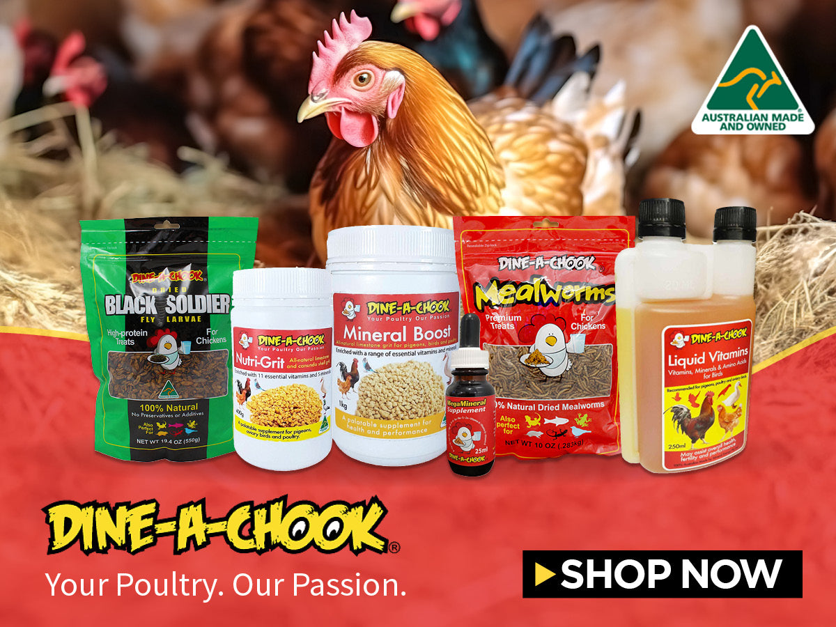 Dine A Chook Australian Made products for chickens
