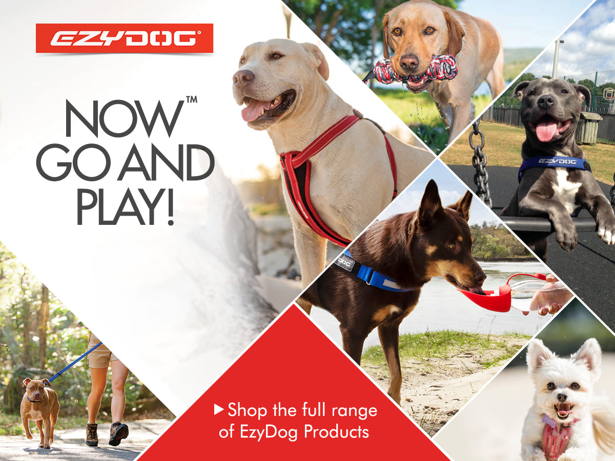 EzyDog Dog Collars, Harnesses & Accessories