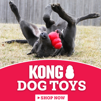 Kong Dog Toys