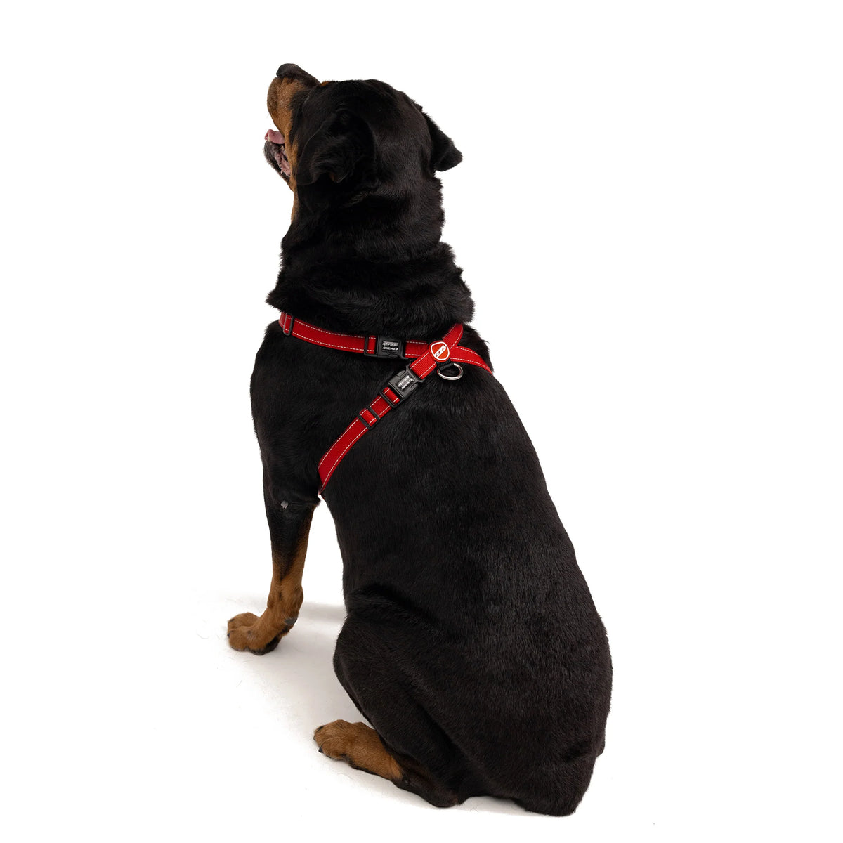 EzyDog Chest Plate Harness