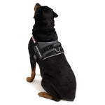 EzyDog Convert Harness