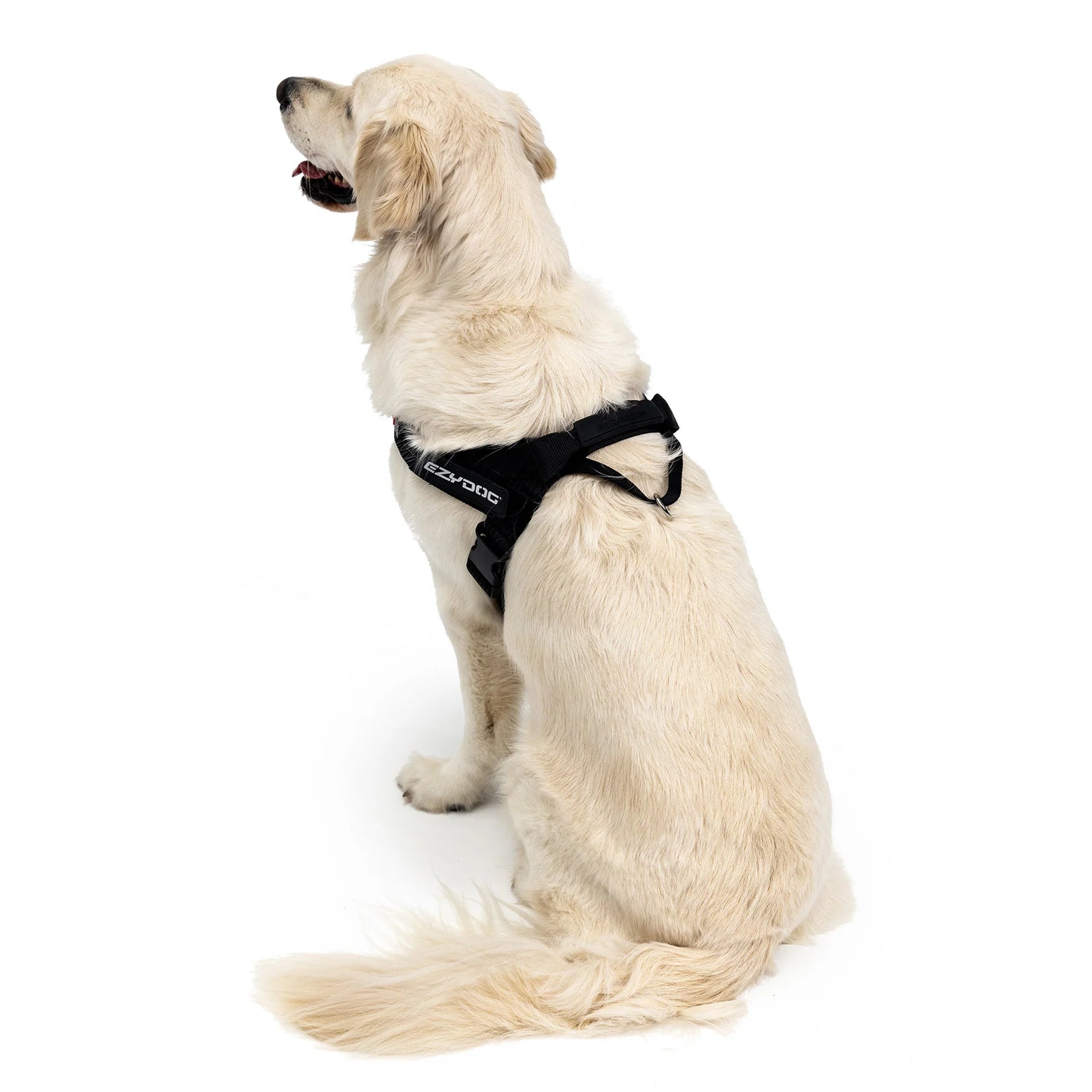 EzyDog Express Harness