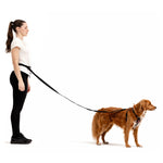 EzyDog Road Runner Leash