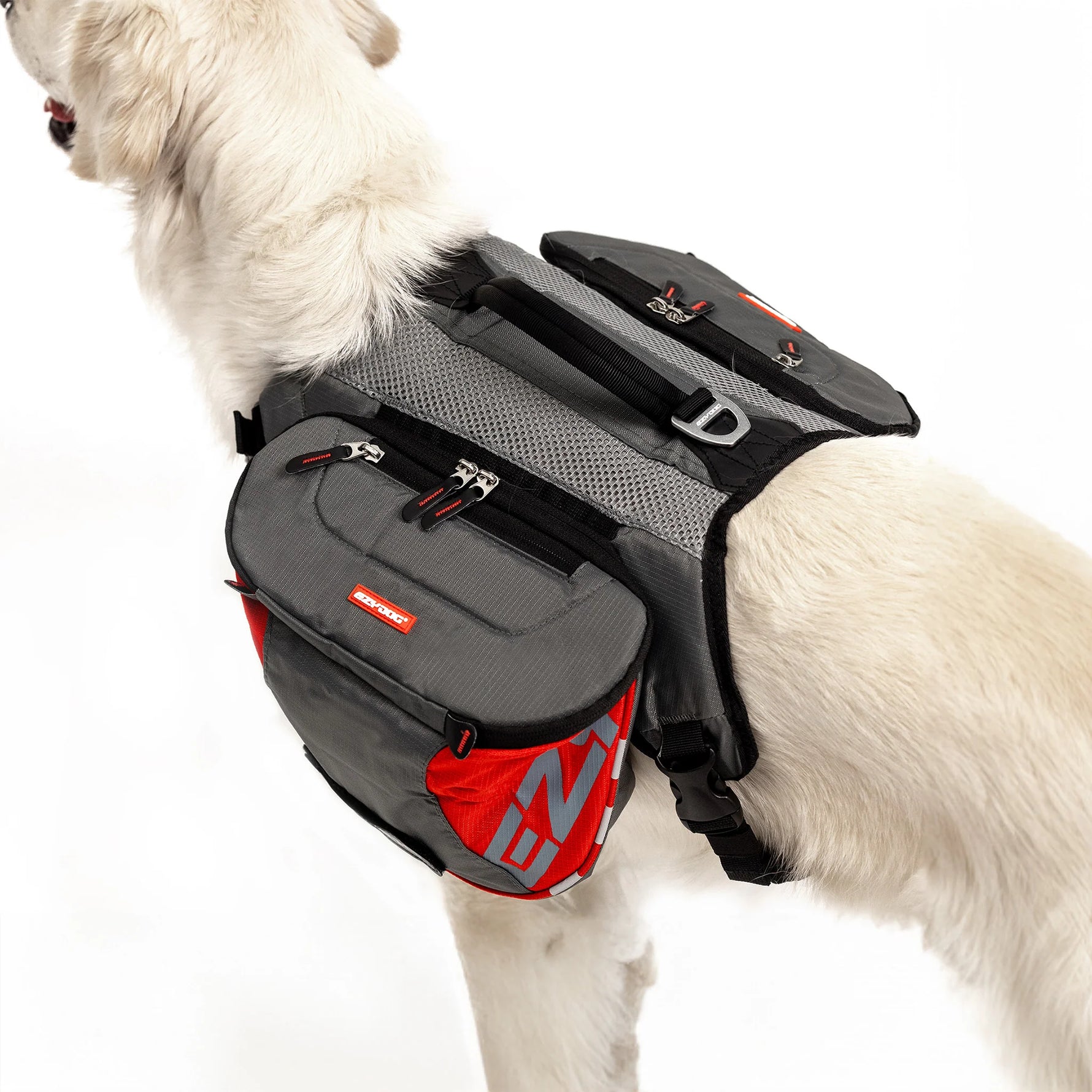 EzyDog Summit Dog Backpack