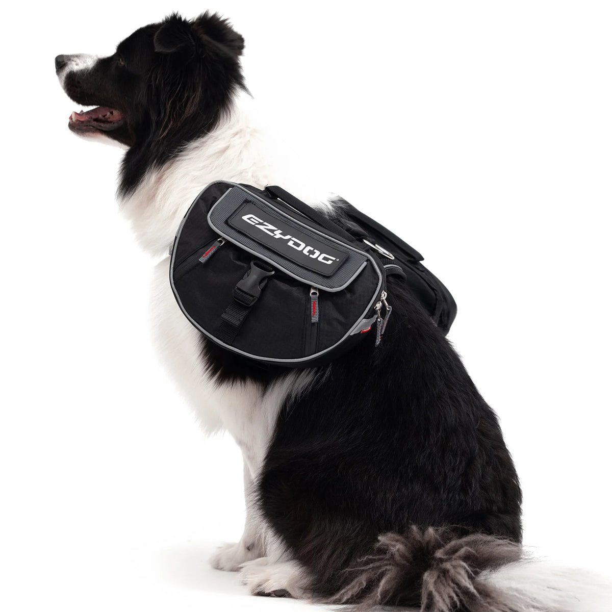 EzyDog Convert Dog Saddle Bags