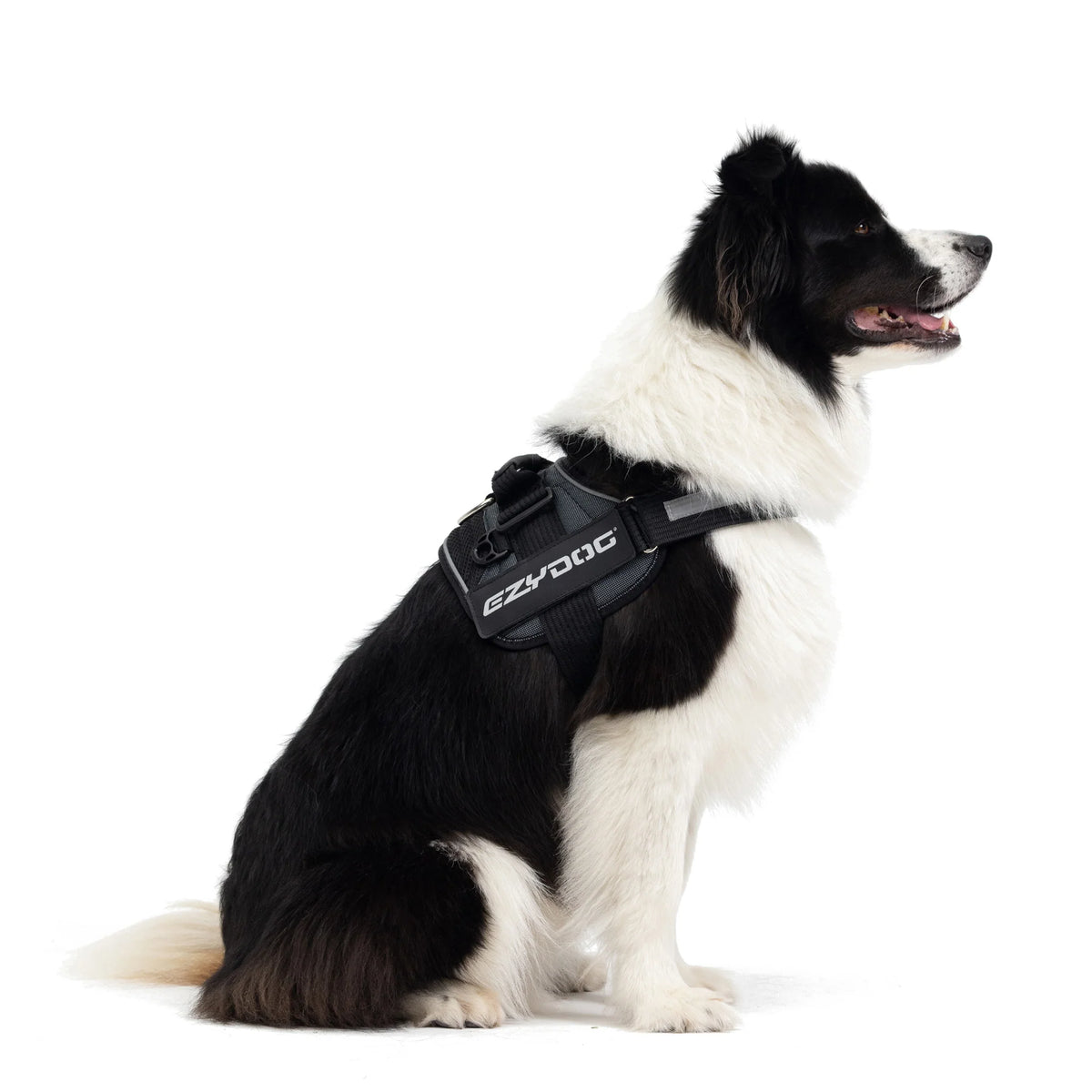 EzyDog Convert Harness