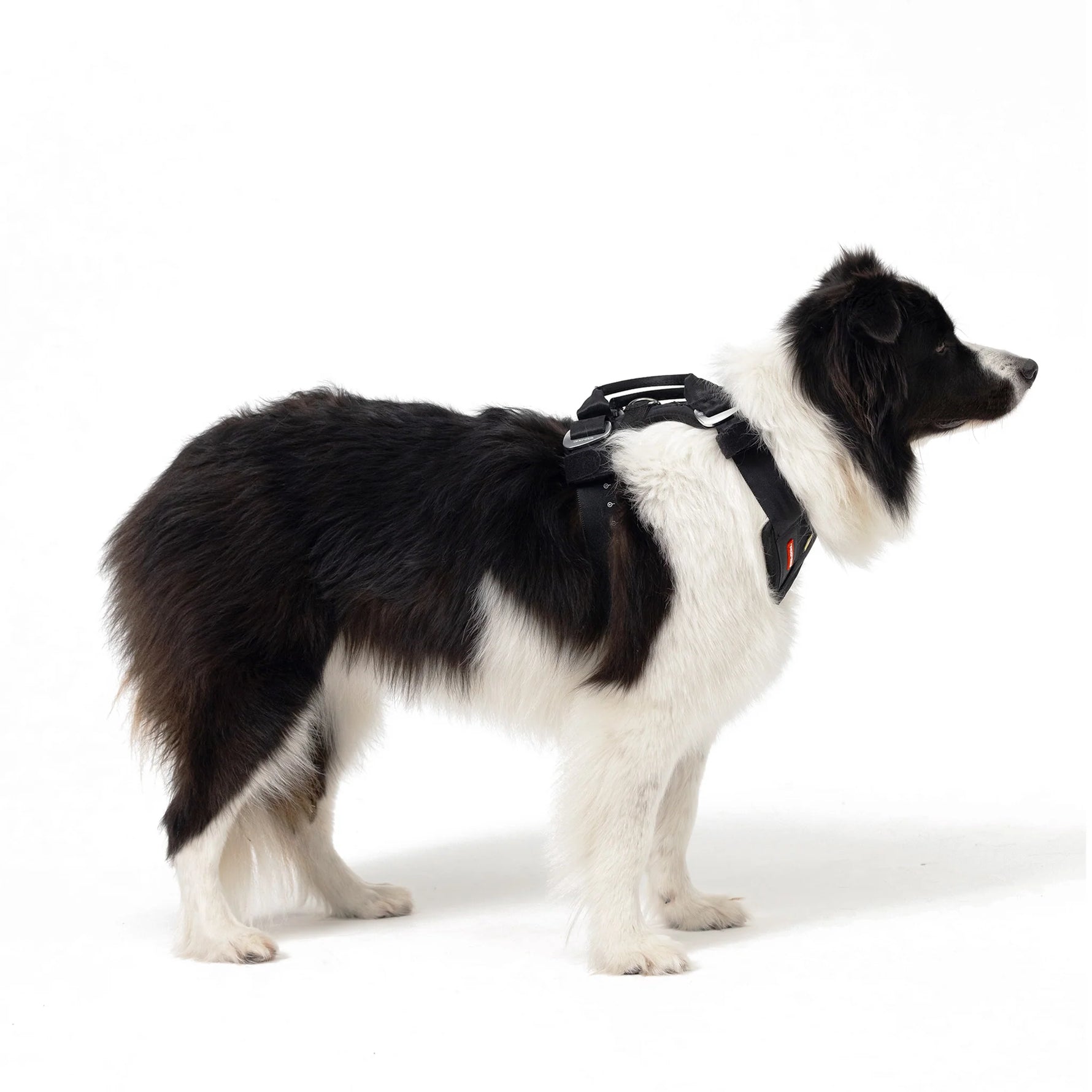 EzyDog Drive Car Safety Harness for Dogs
