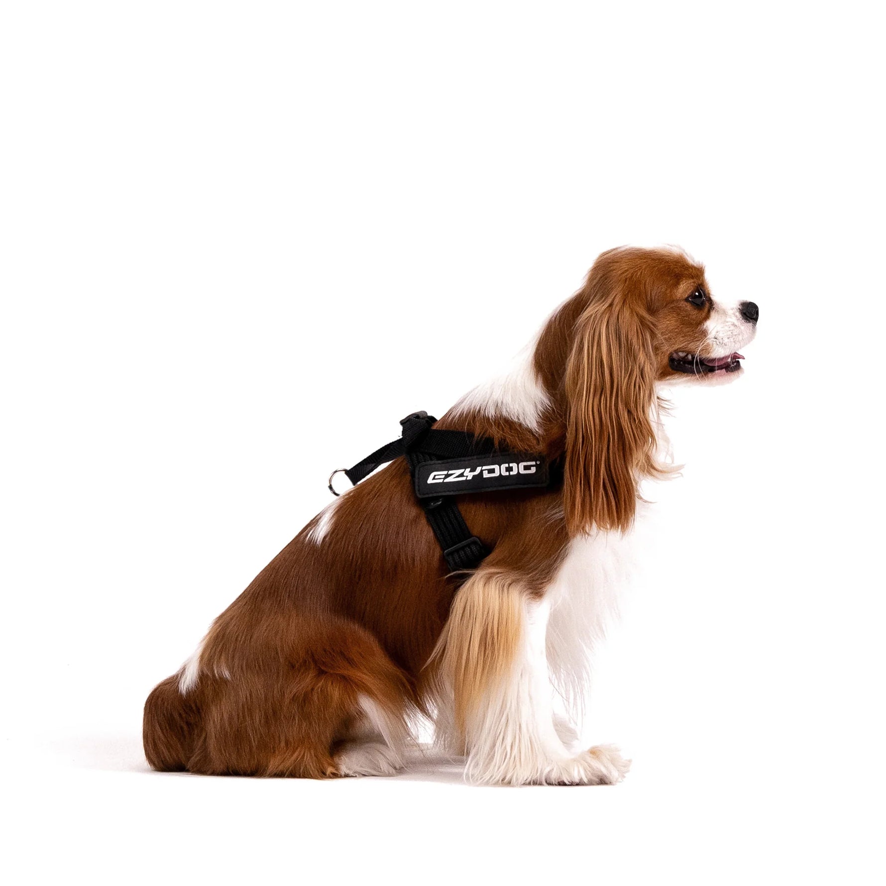 EzyDog Express Harness
