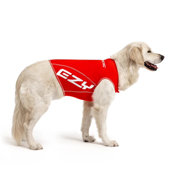 EzyDog Rashie Vest for Dogs