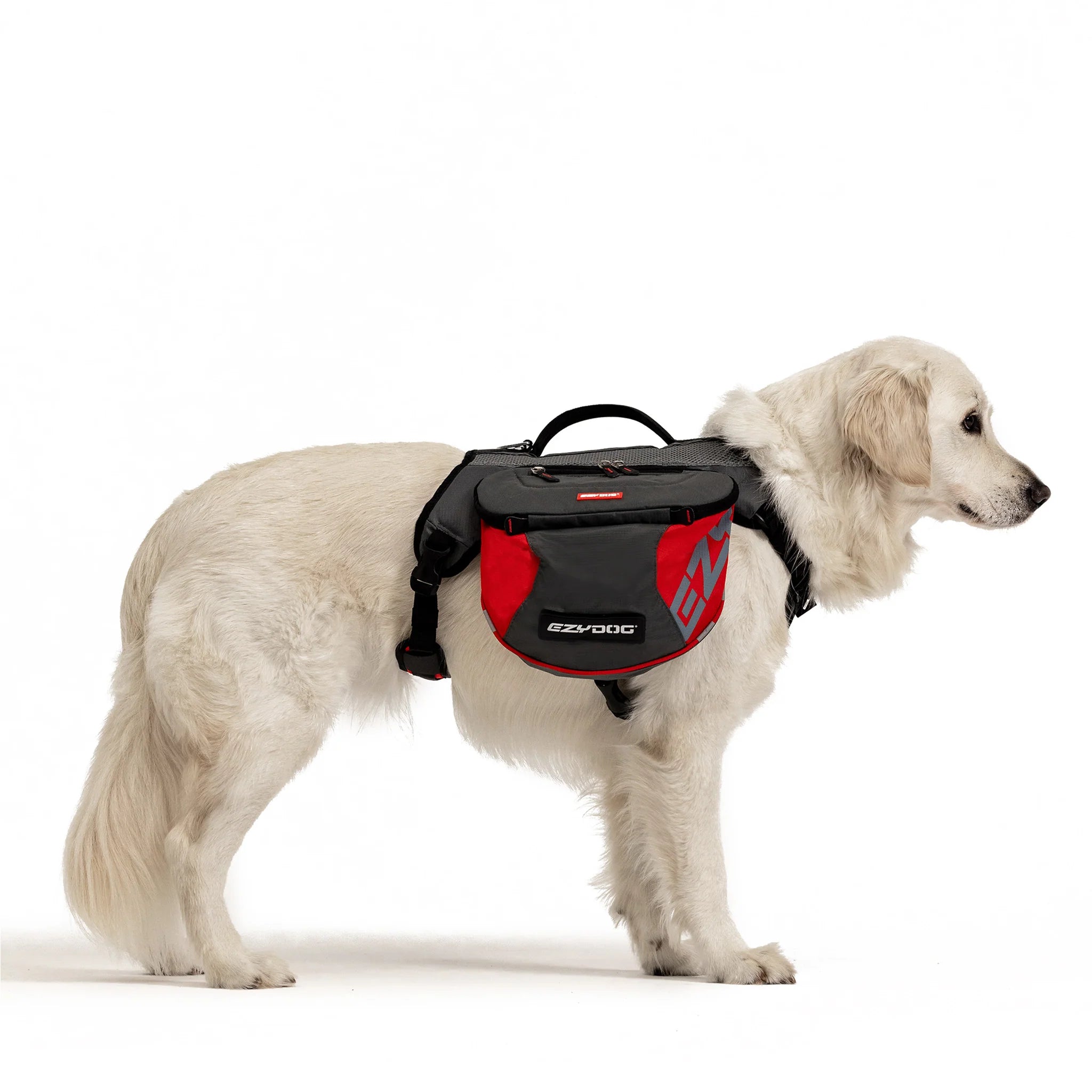 EzyDog Summit Dog Backpack