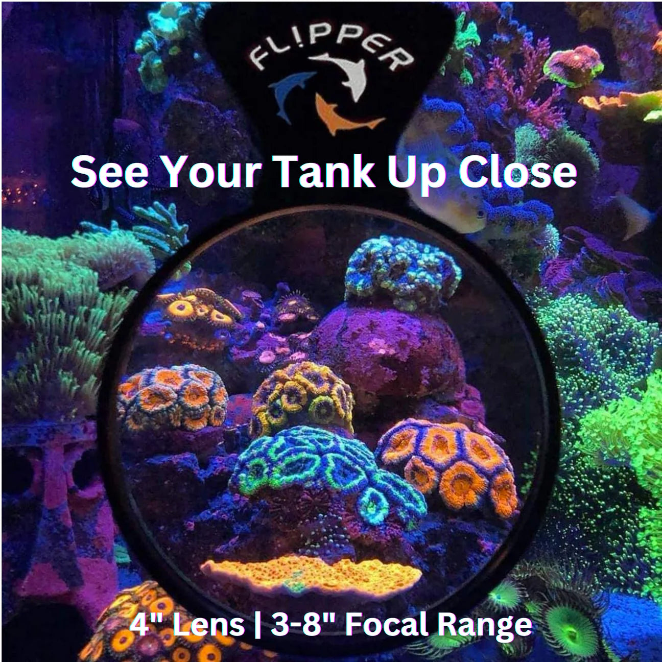 Flipper Deep See Magnified Viewer