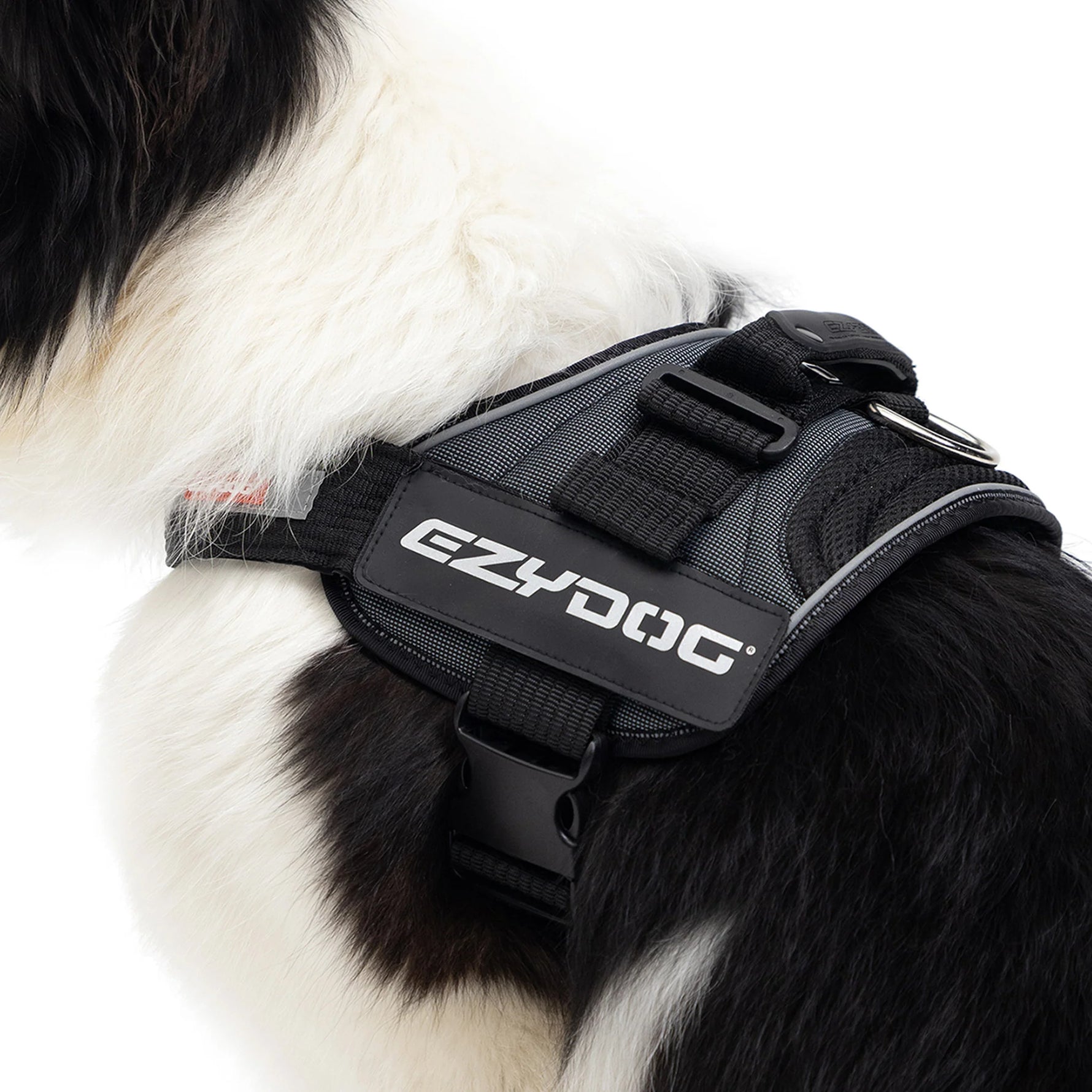 EzyDog Convert Harness