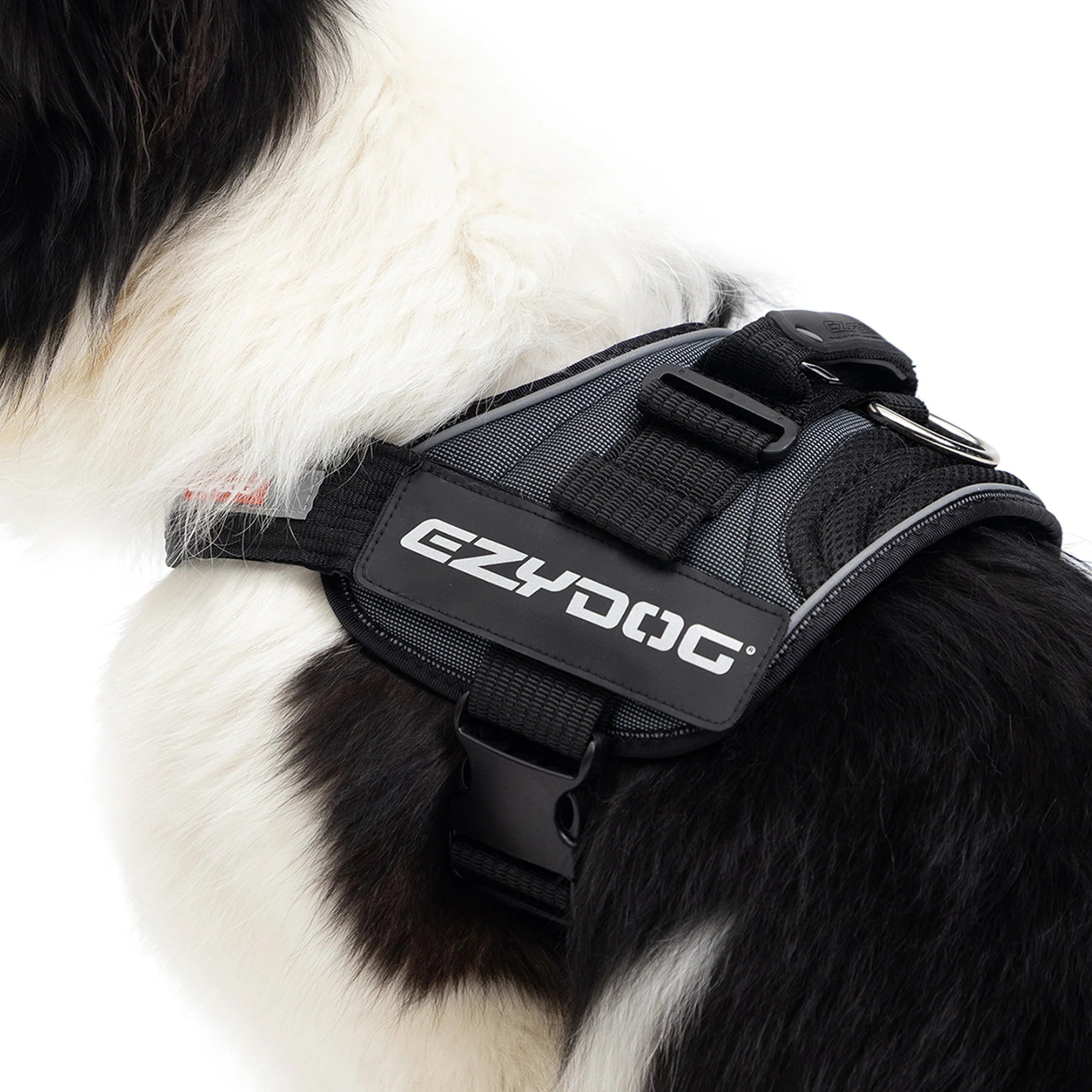 EzyDog Convert Harness vet n pet DIRECT
