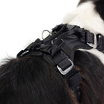 EzyDog Drive Car Safety Harness for Dogs