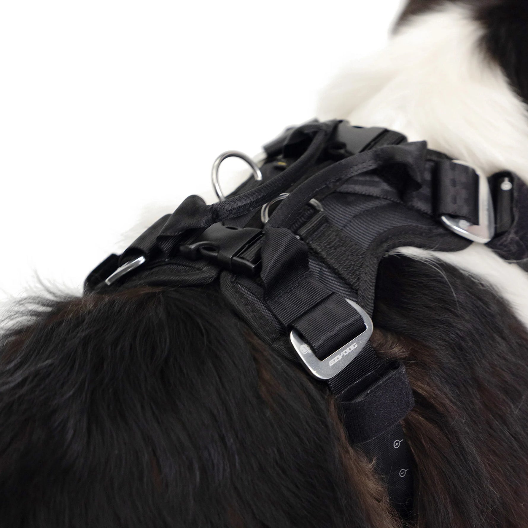 EzyDog Drive Car Safety Harness for Dogs