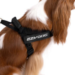 EzyDog Express Harness
