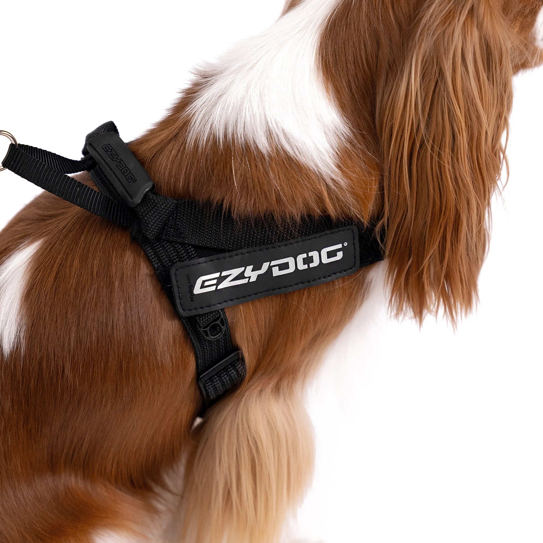 EzyDog Express Harness
