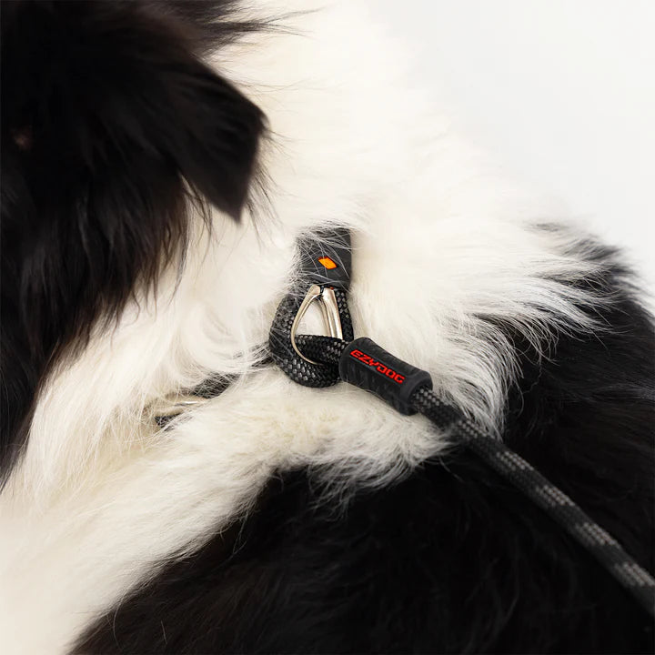 EzyDog Luca Leash Collar Combo vet n pet DIRECT