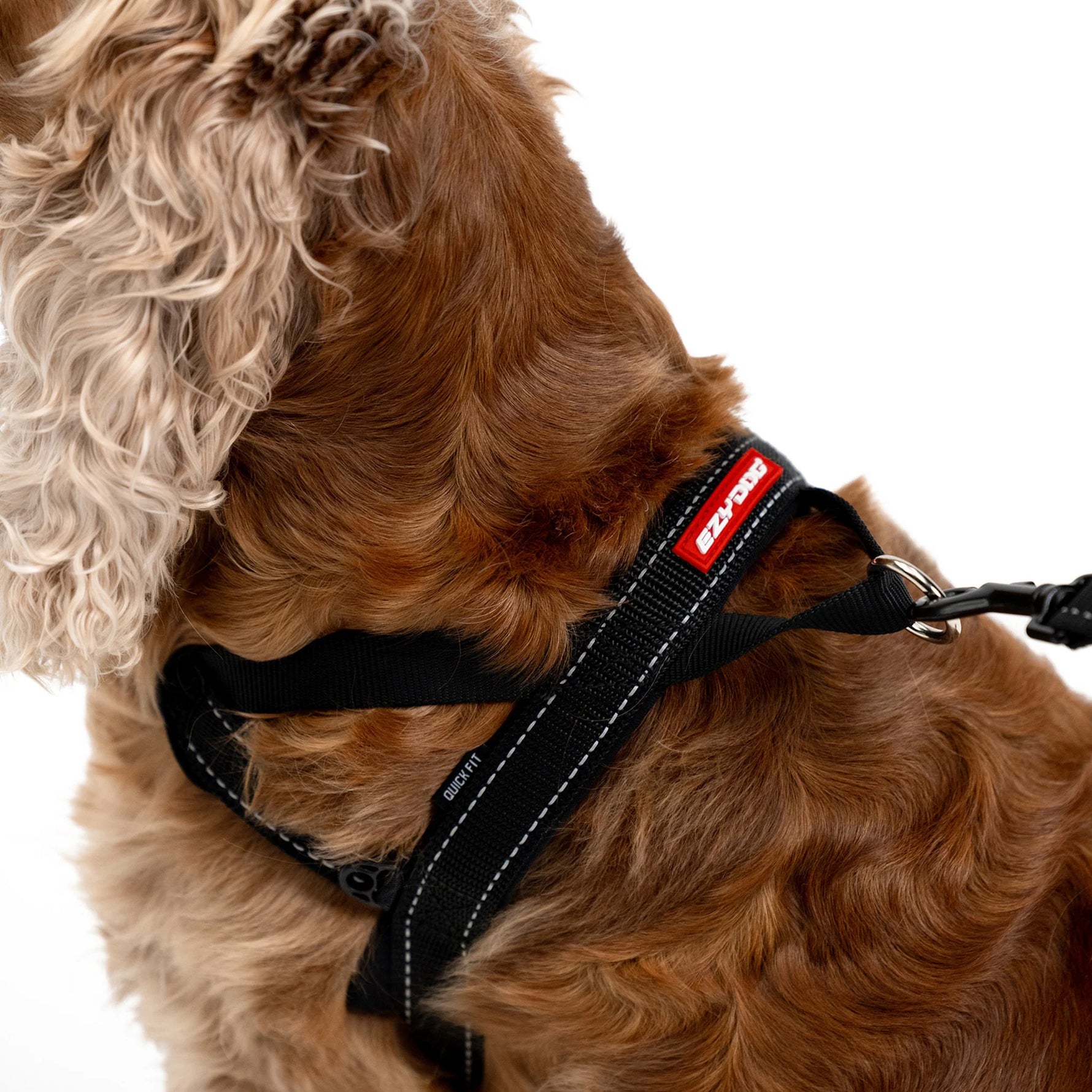 EzyDog Quick-Fit Harness