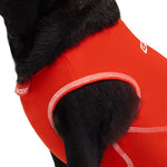 EzyDog Rashie Vest for Dogs