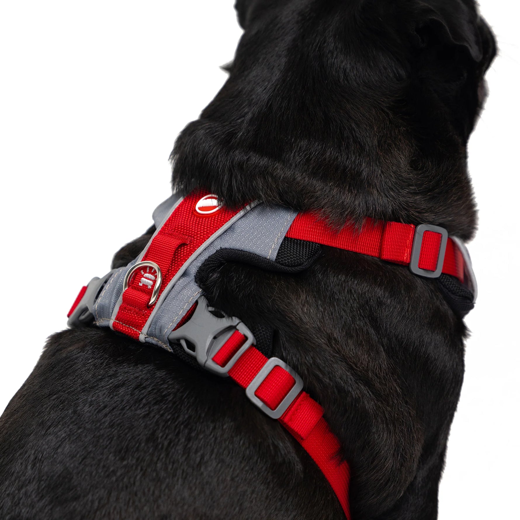 EzyDog X-Link Front Clip Dog Harness