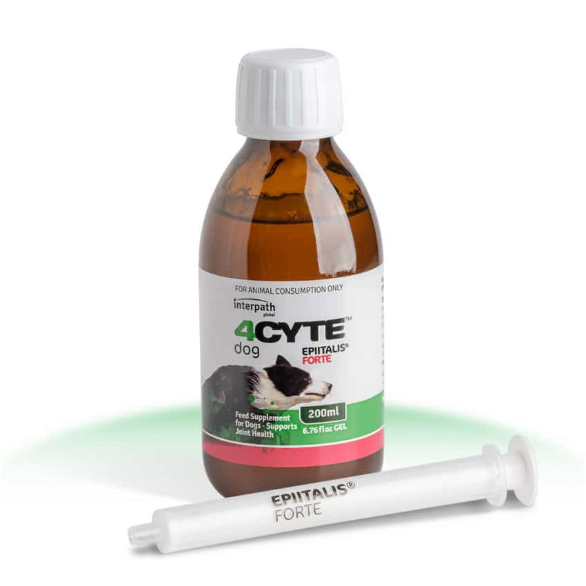 4CYTE Epiitalis Forte Gel for Dogs