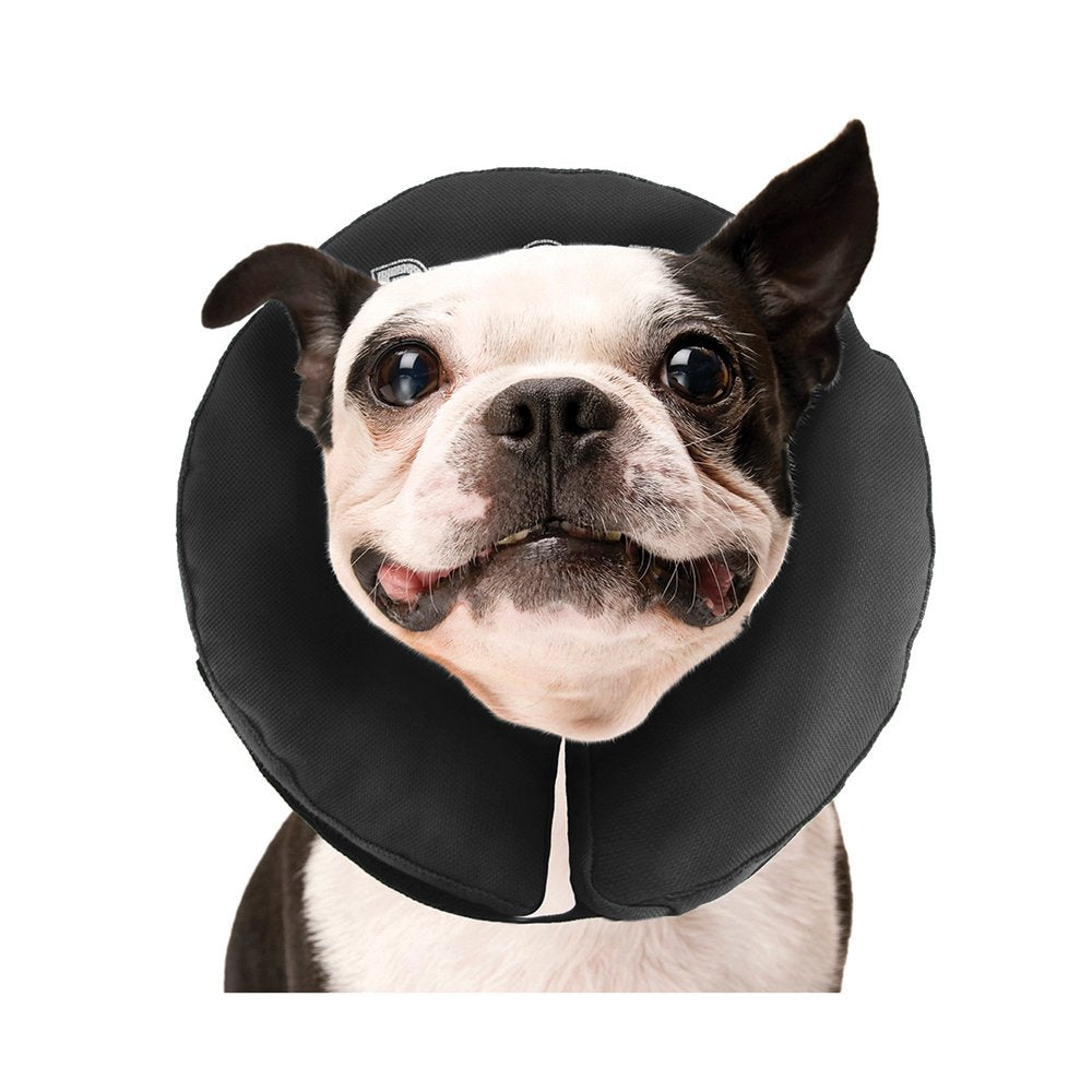 zenpet ProCollar Inflatable Elizabethan Protective Collar