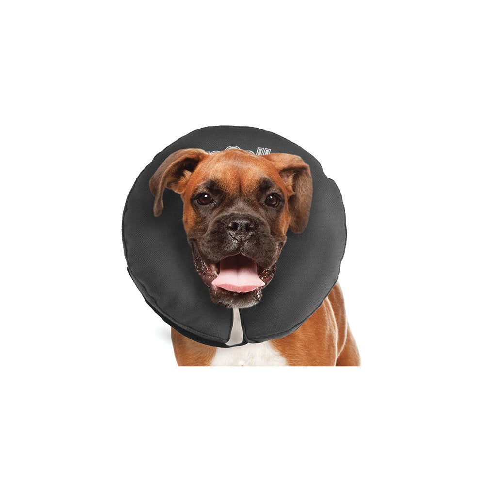 zenpet ProCollar Inflatable Elizabethan Protective Collar