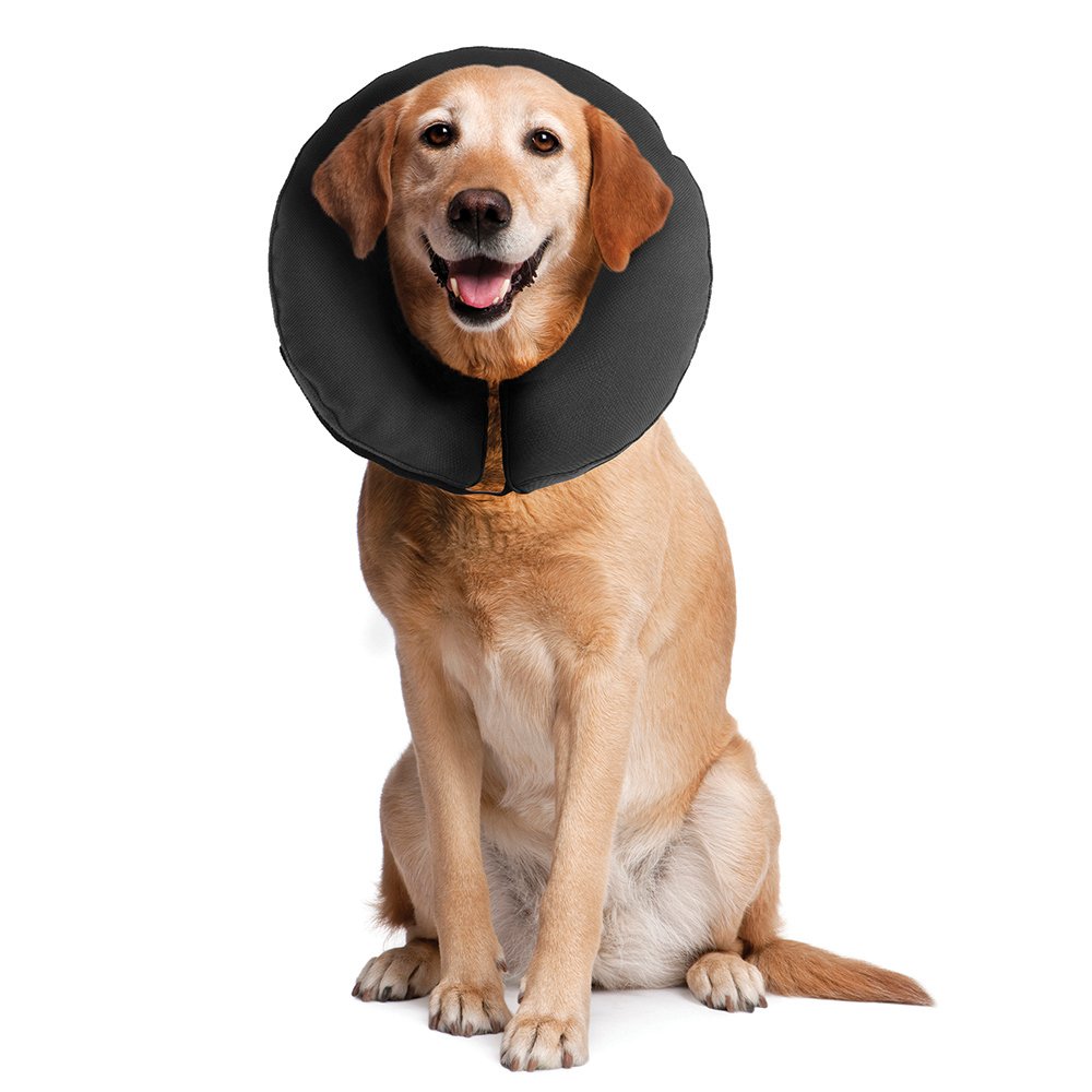 zenpet ProCollar Inflatable Elizabethan Protective Collar