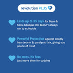 Revolution Plus for Large Cats 5.1-10kg
