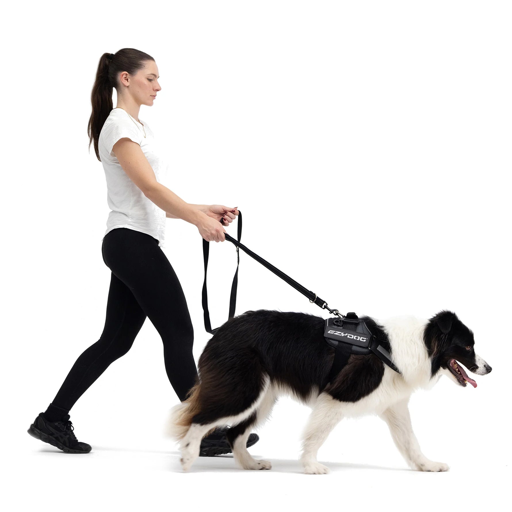EzyDog Convert Harness