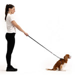 EzyDog Cross Check Harness