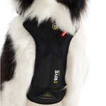EzyDog Drive Car Safety Harness for Dogs