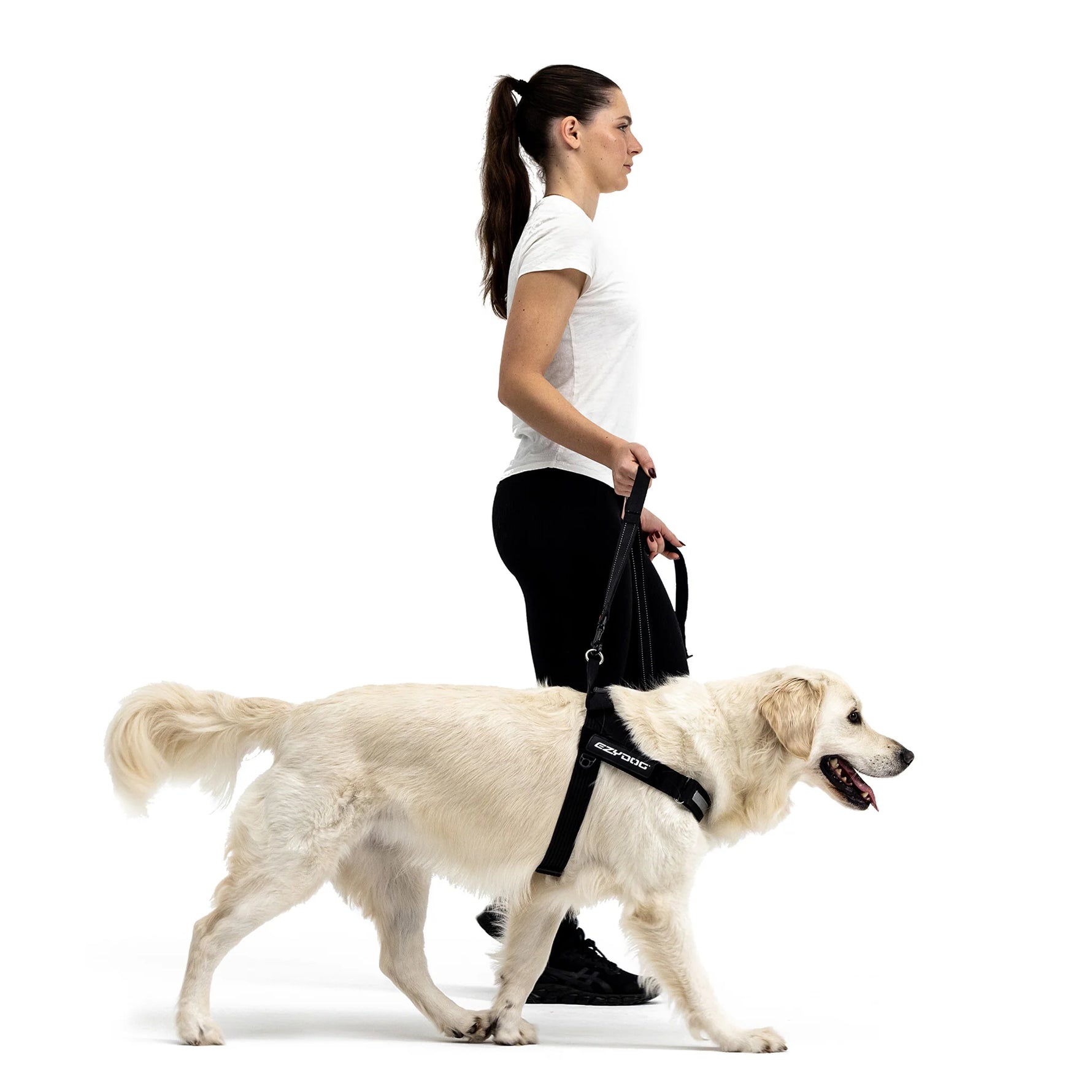 EzyDog Express Harness