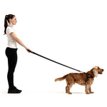 EzyDog Quick-Fit Harness