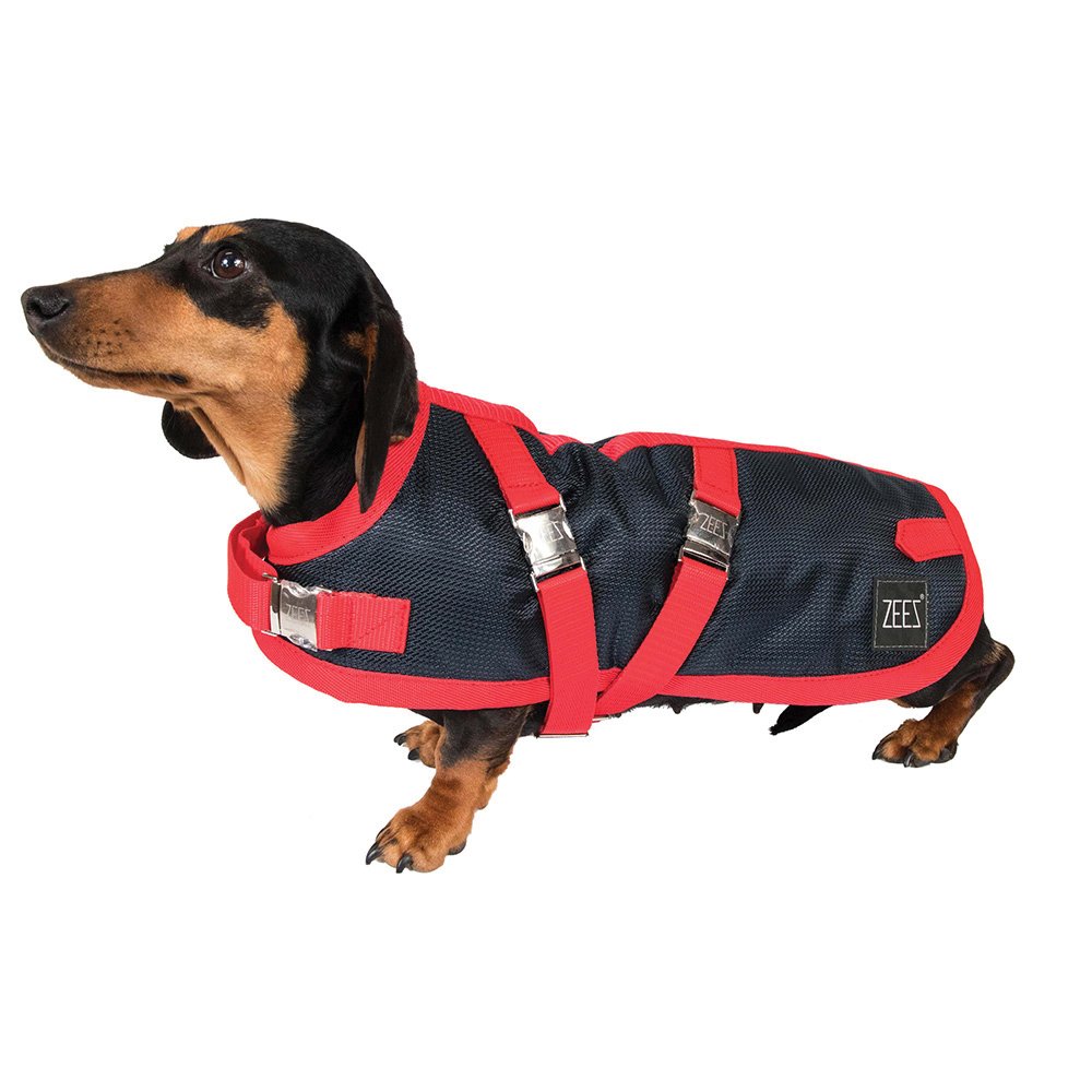 ZeeZ Supreme Dachshund Dog Coat - Navy Stone/Red