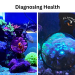 Flipper Deep See Magnified Viewer