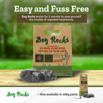 Dog Rocks