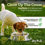 Dog Rocks