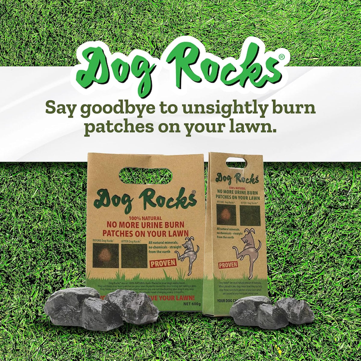 Dog Rocks