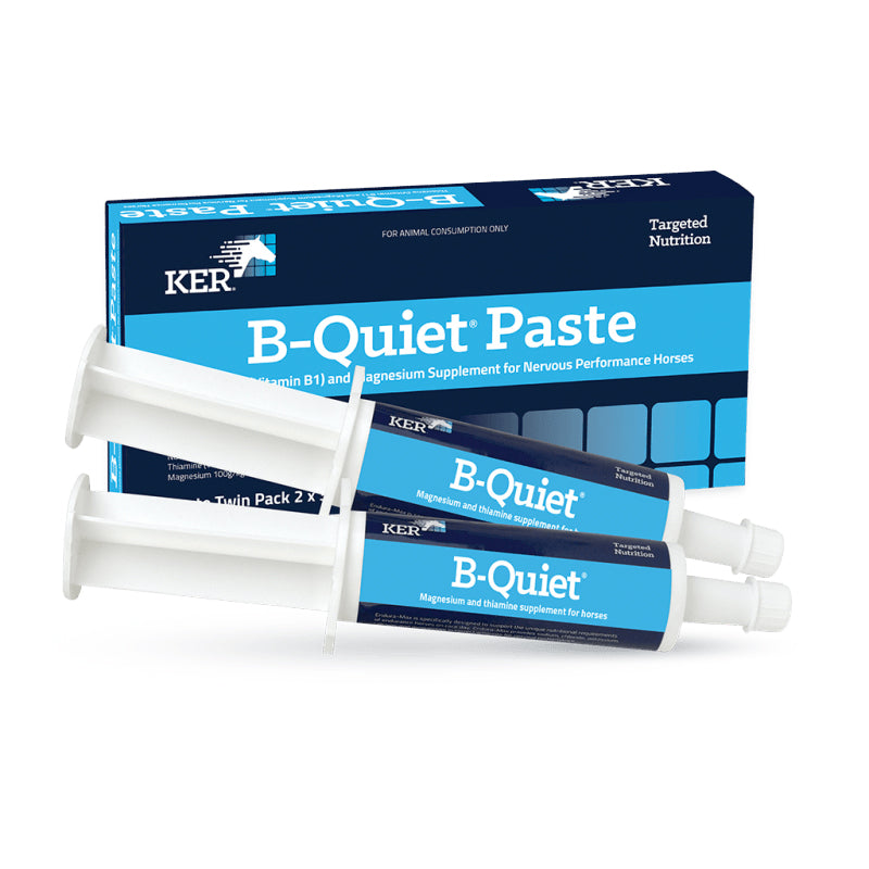 KER B-Quiet Paste - 2 X 30g Twin Pack