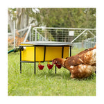 Bainbridge Automatic Poultry Waterer