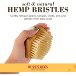Burt's Bees Palm Bristle Brush for Dogs