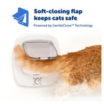 PetSafe Big Cat Small Dog Door