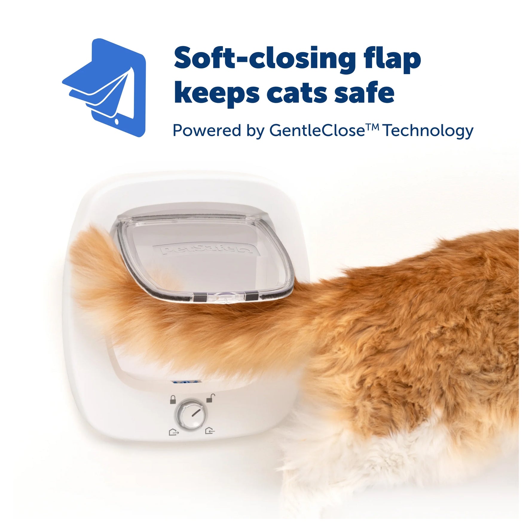 PetSafe Big Cat Small Dog Door