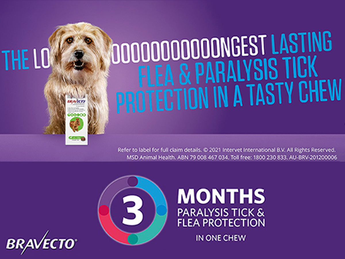 Bravecto Chews for Dogs